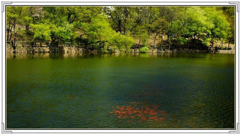 QQ图片20160426130818