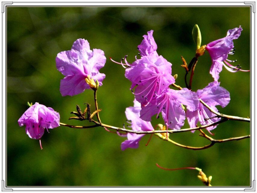 QQ图片20160426130823