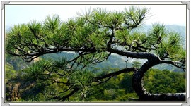 QQ图片20160426130832