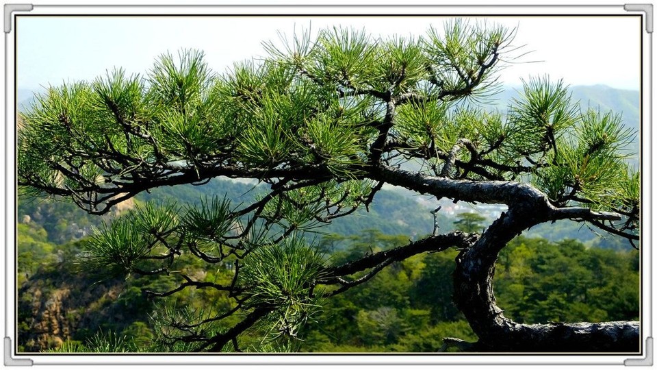 QQ图片20160426130832