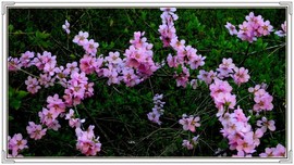 QQ图片20160426130839