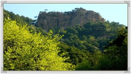 QQ图片20160426130845