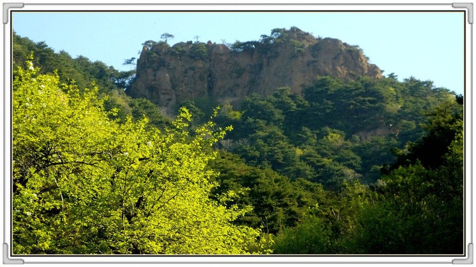 QQ图片20160426130845