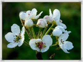 QQ图片20160426130854