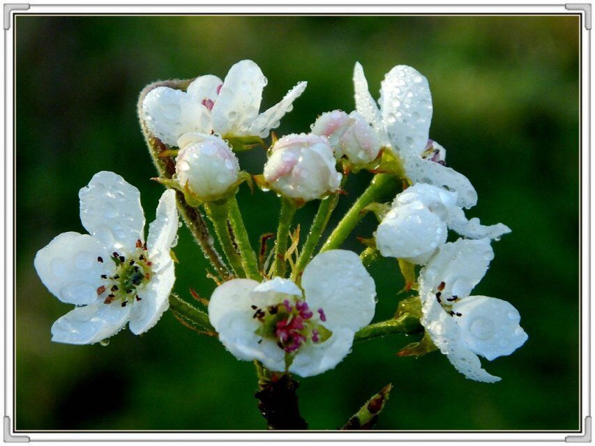 QQ图片20160426130854