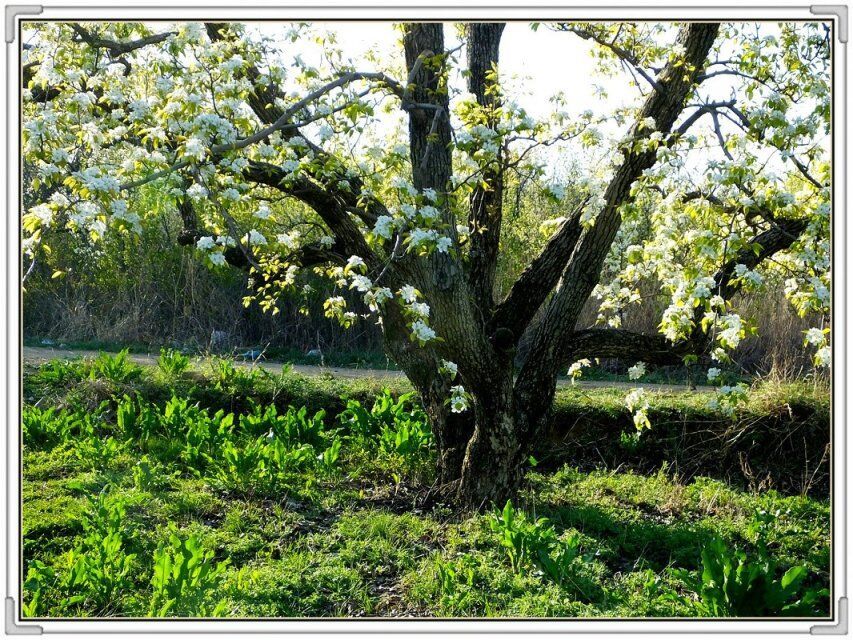 QQ图片20160426130858