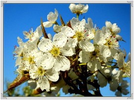 QQ图片20160426130905