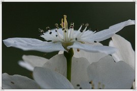 QQ图片20160426130924