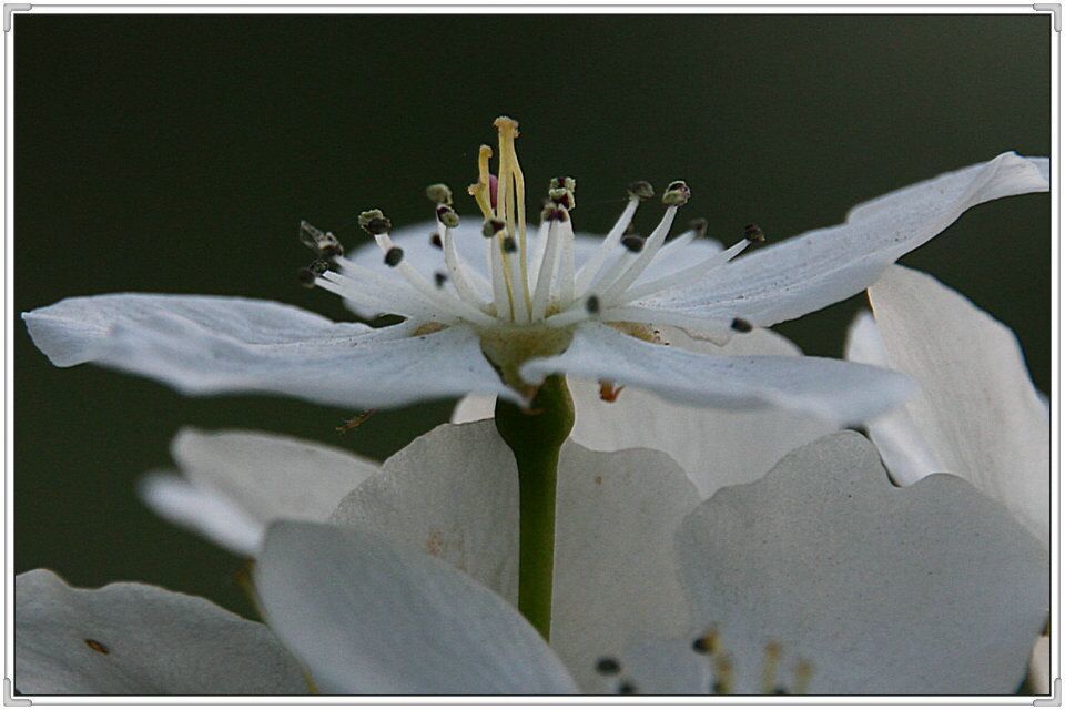 QQ图片20160426130924