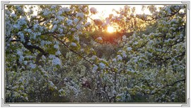 QQ图片20160426130938