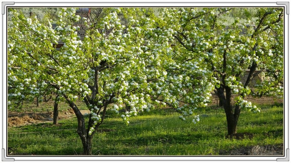 QQ图片20160426130946