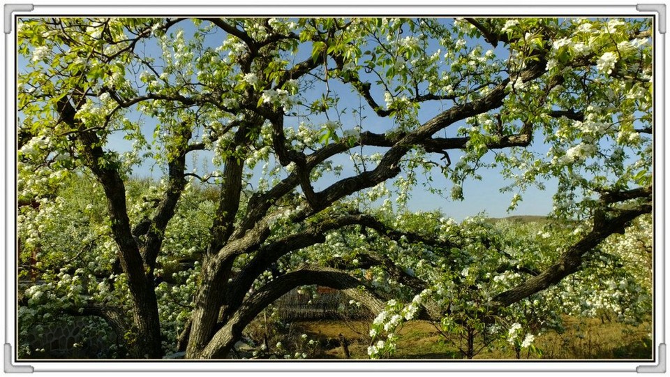 QQ图片20160426130959