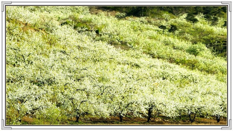 QQ图片20160426131011