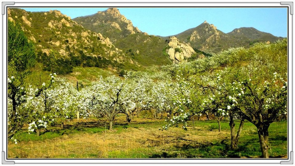 QQ图片20160426131017