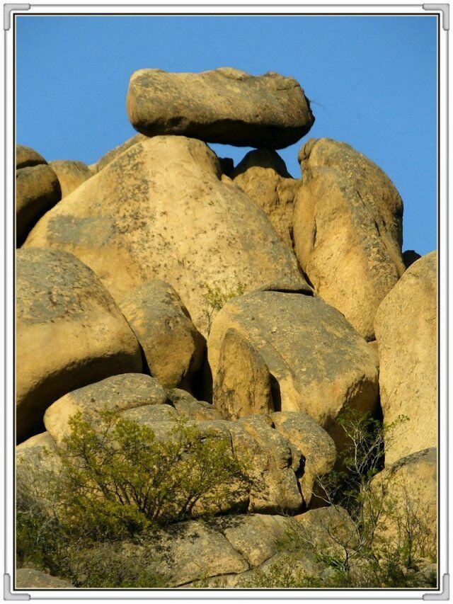 QQ图片20160426131028