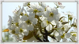 QQ图片20160426131043