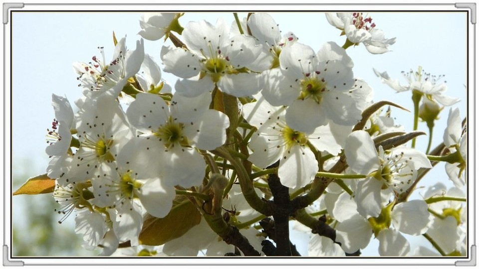 QQ图片20160426131043