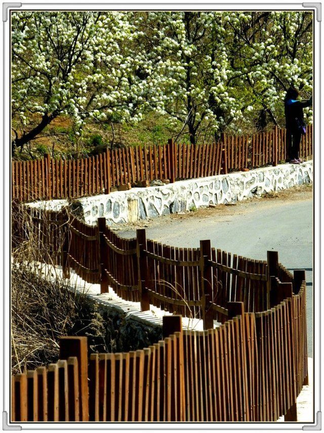 QQ图片20160426131053