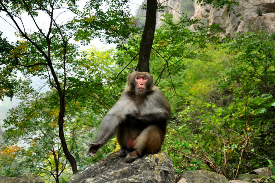 72拐【白经古道】 (4)