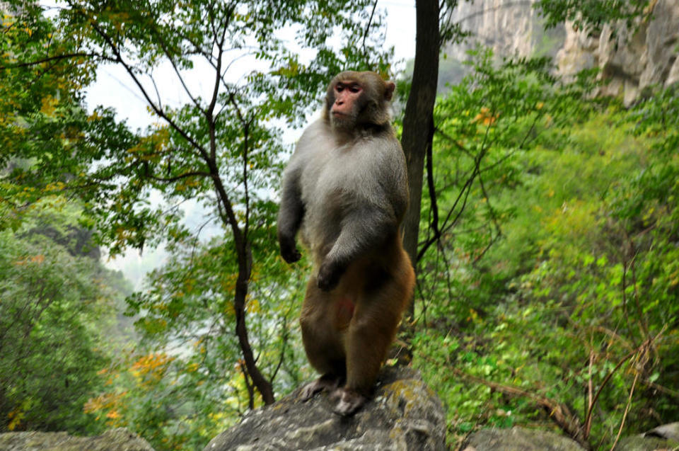 72拐【白经古道】 (5)