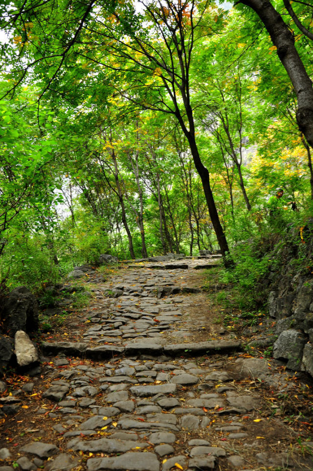 72拐【白经古道】 (18)