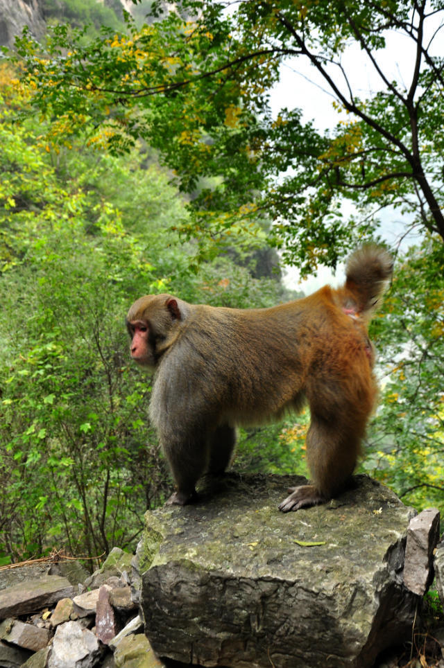 72拐【白经古道】 (19)