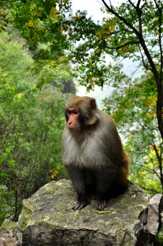 72拐【白经古道】 (22)