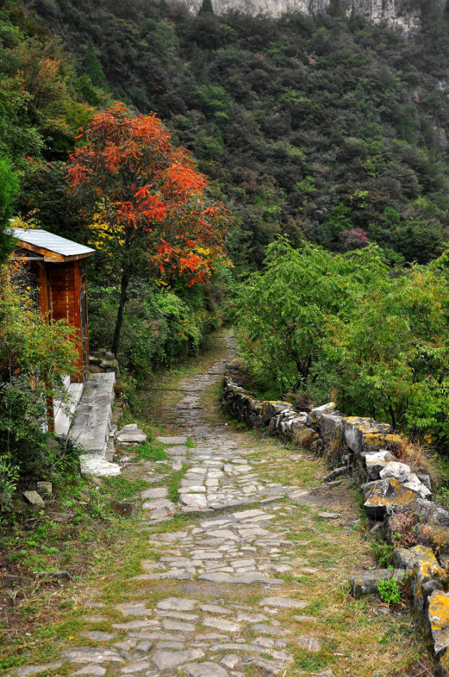 72拐【白经古道】 (28)