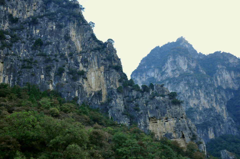 红豆杉大峡谷 (3)