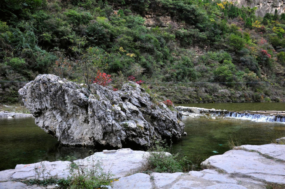 红豆杉大峡谷 (12)
