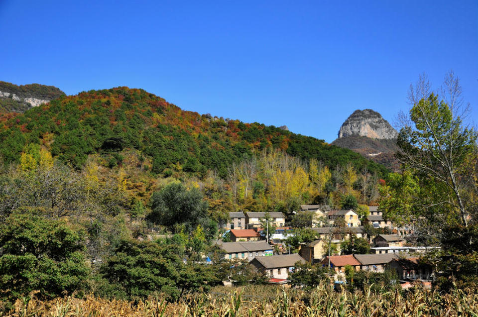 红豆杉大峡谷 (34)