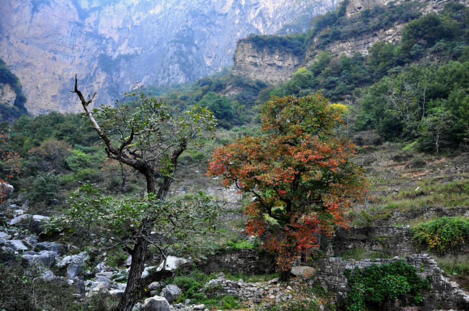 无极潭【九连山】 (3)