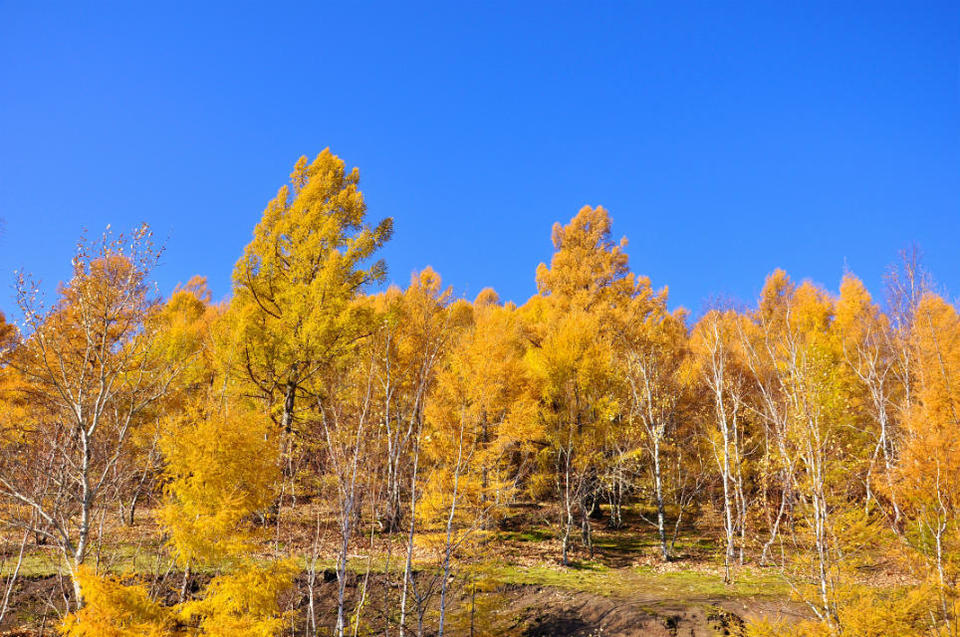 老黑山【五大连池】 (11)
