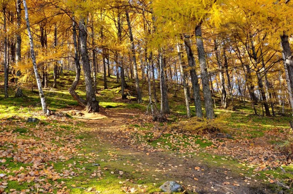 老黑山【五大连池】 (17)