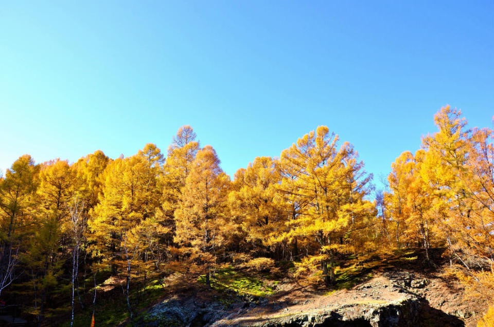 老黑山【五大连池】 (19)