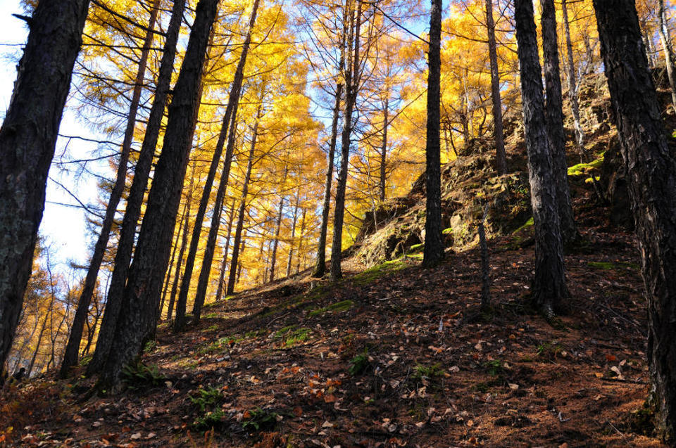 老黑山【五大连池】 (21)
