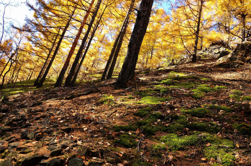 老黑山【五大连池】 (22)