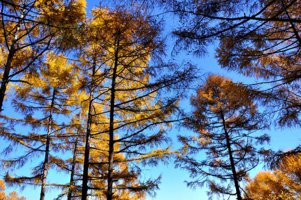 老黑山【五大连池】 (37)