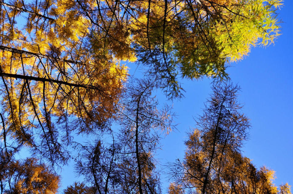 老黑山【五大连池】 (38)