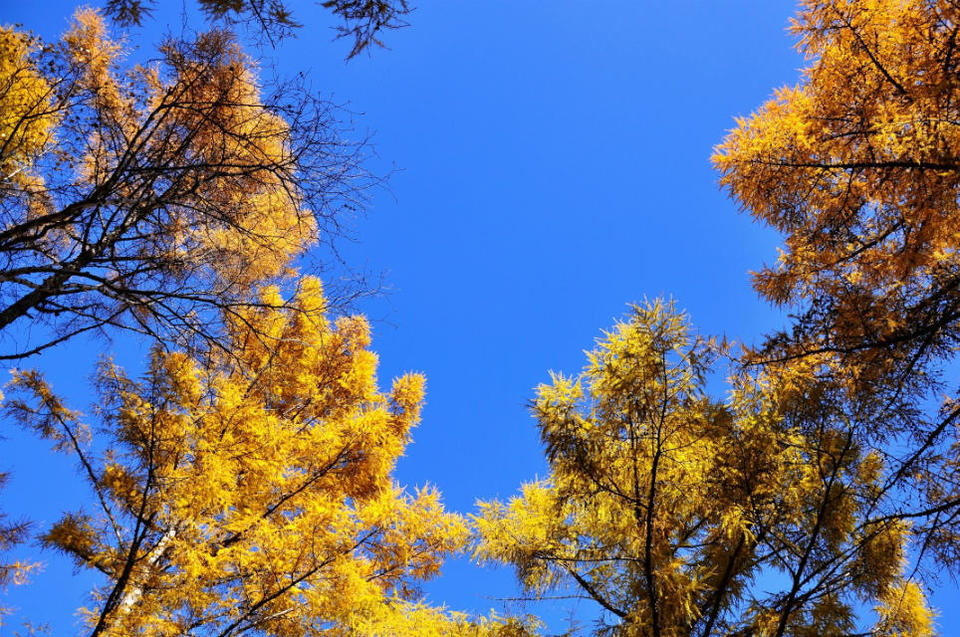 老黑山【五大连池】 (41)