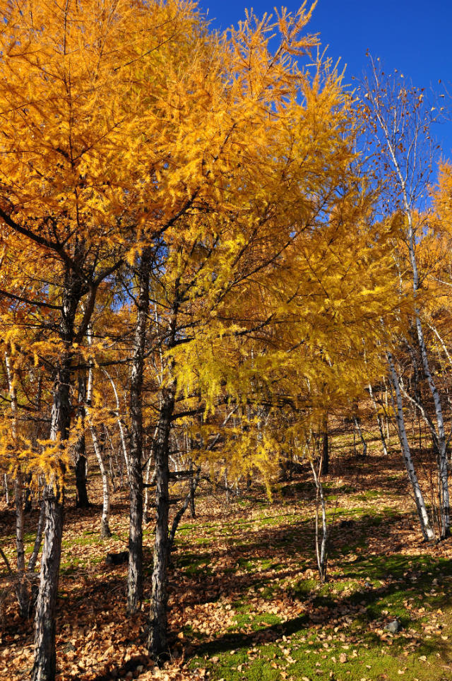 五大连池【竖版】 (10)
