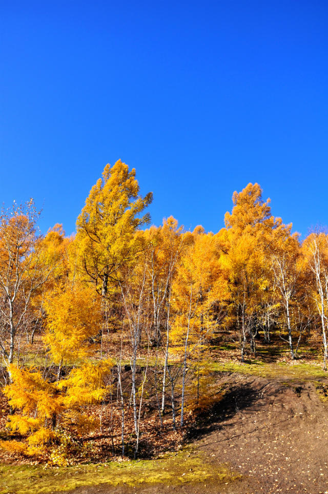 五大连池【竖版】 (14)