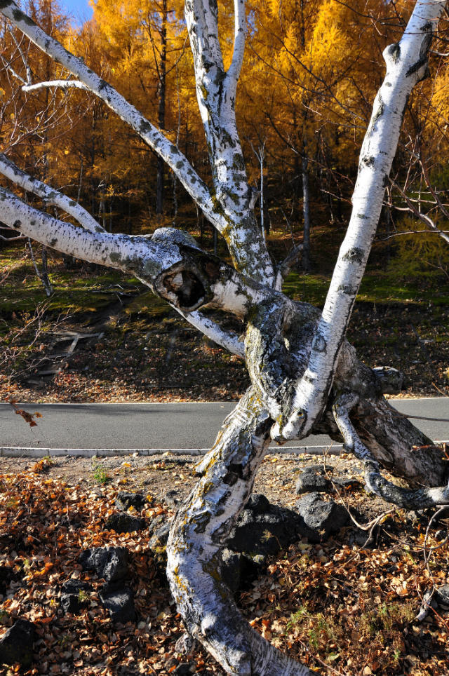 五大连池【竖版】 (17)