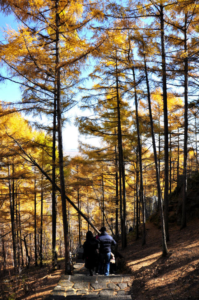 五大连池【竖版】 (20)