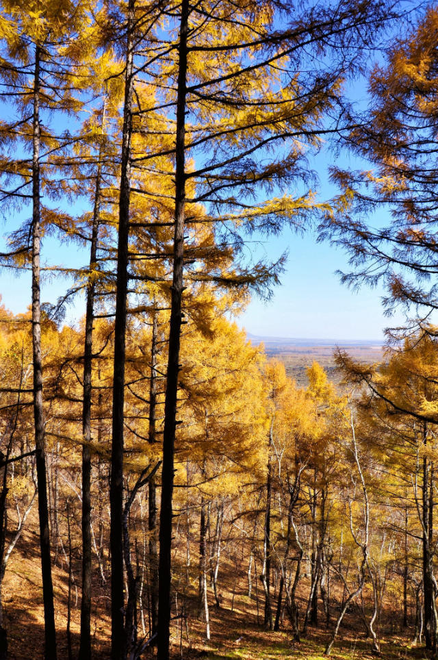 五大连池【竖版】 (22)