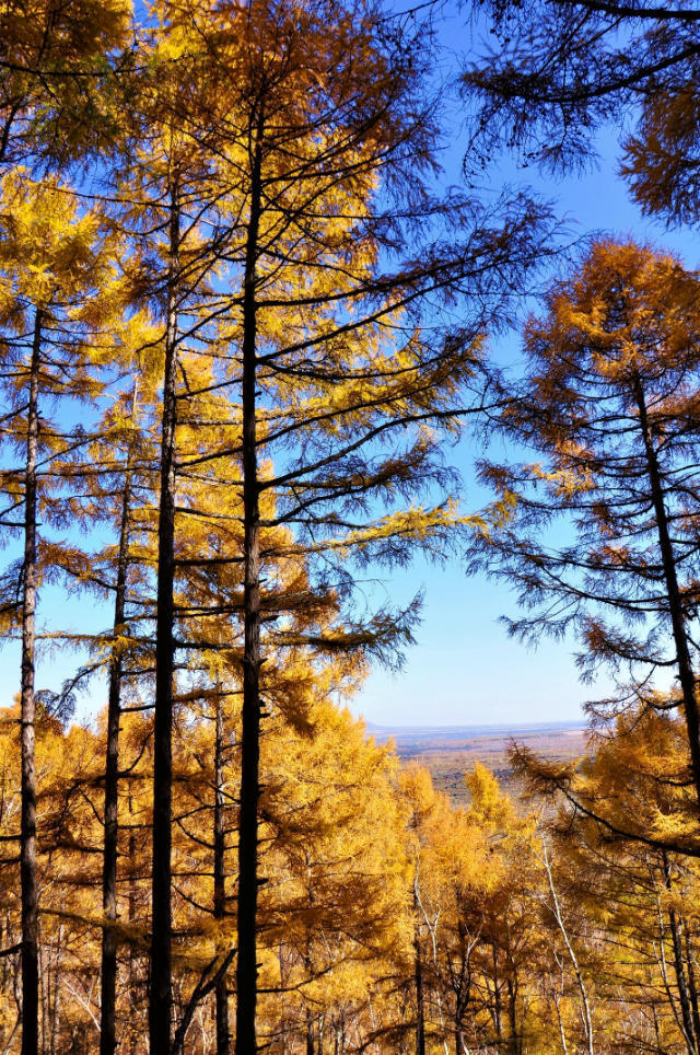 五大连池【竖版】 (24)