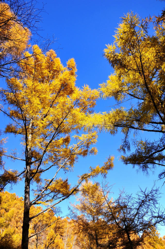 五大连池【竖版】 (25)