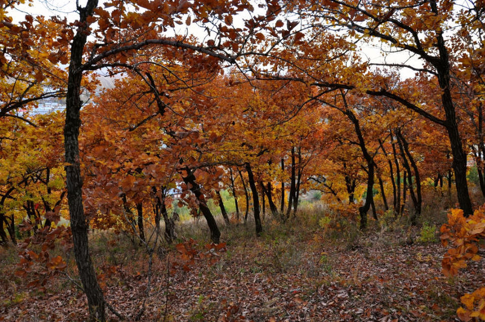 药泉山【五大连池】 (2)