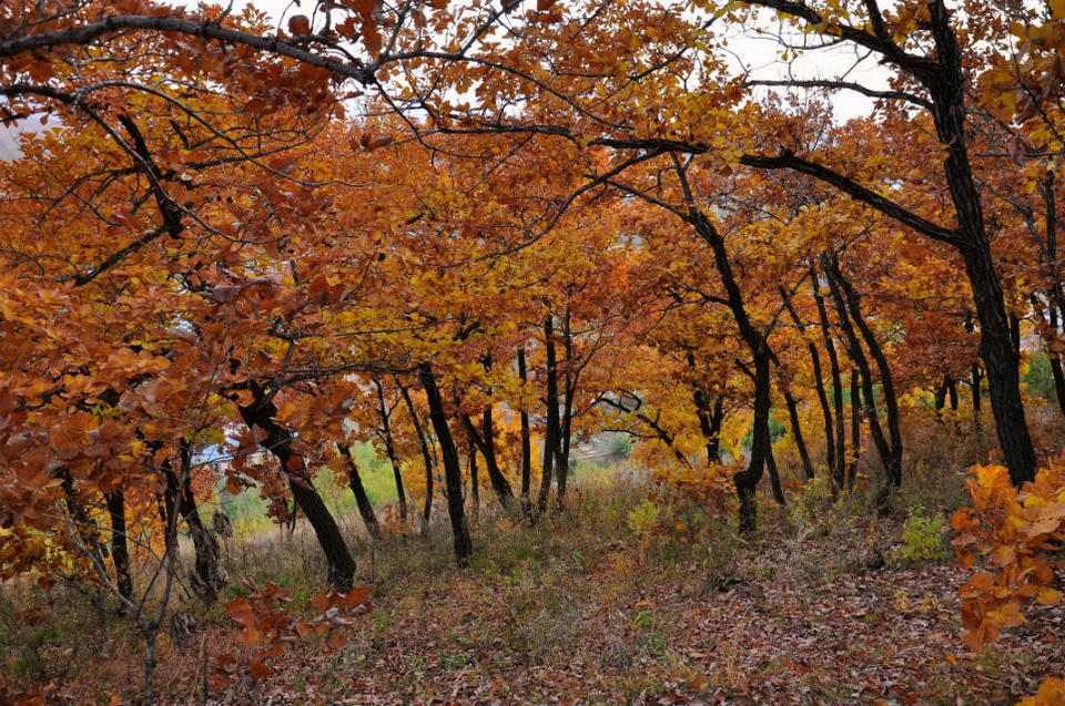 药泉山【五大连池】 (3)