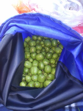 QQ图片20160829135537